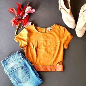 Necessary clothing Tan Suede Crop Top
